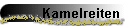 Kamelreiten